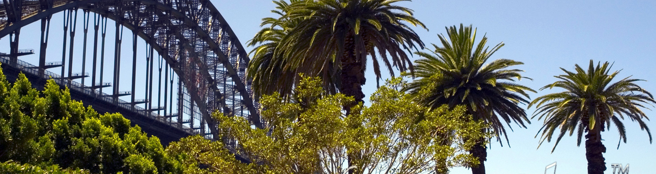 发卡网直销的网页攻击器