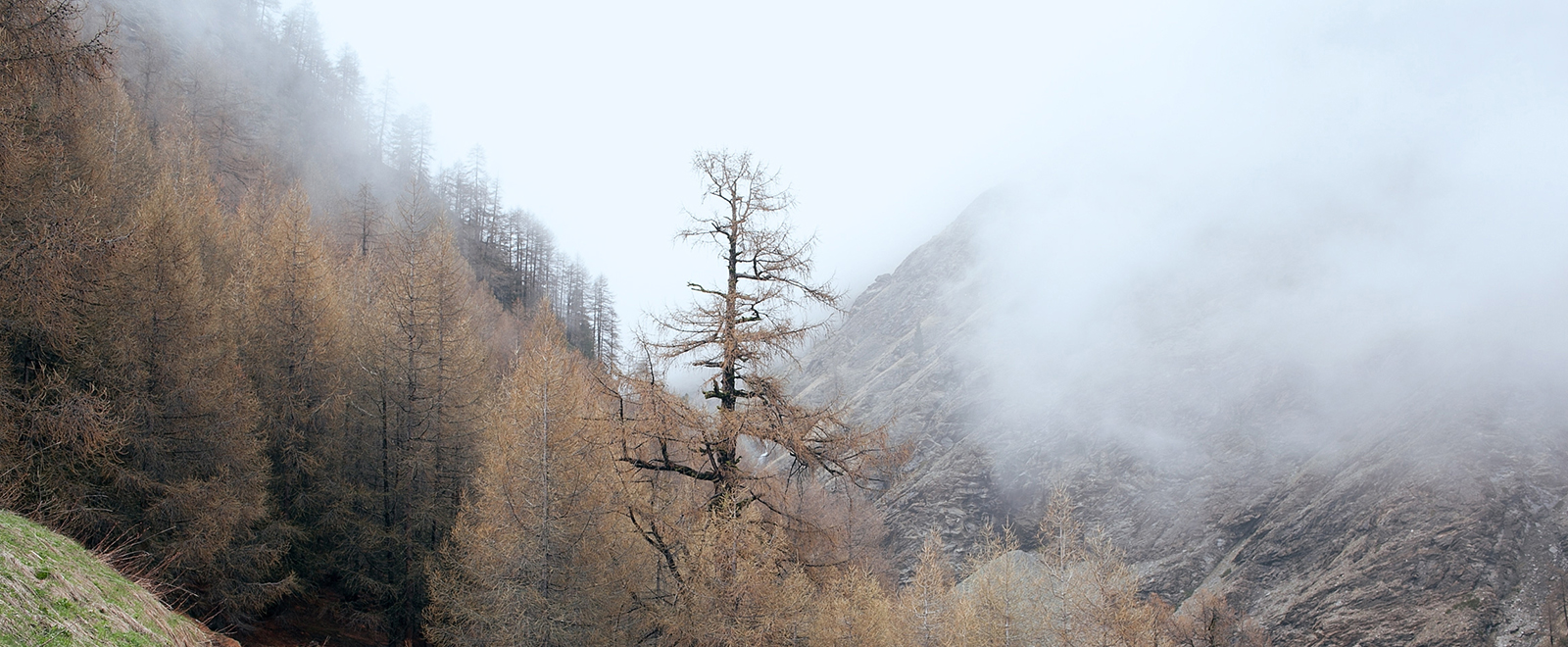 专业工具集的攻击网站的方法