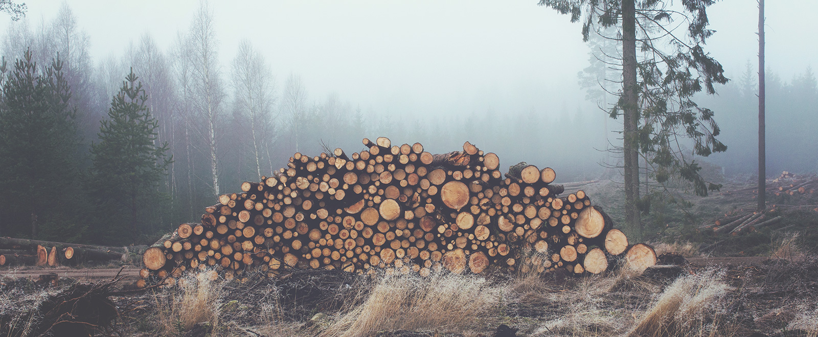 cc攻击免费网页版