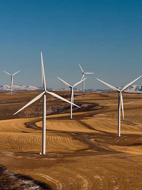 在线DDOS平台攻击